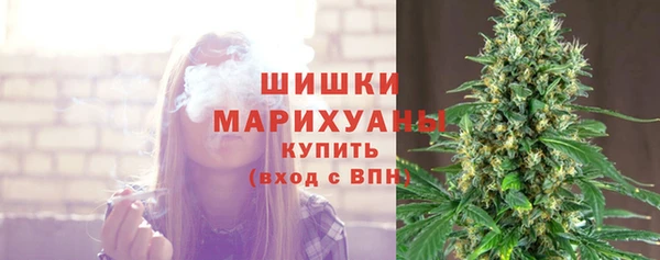 гидра Арсеньев