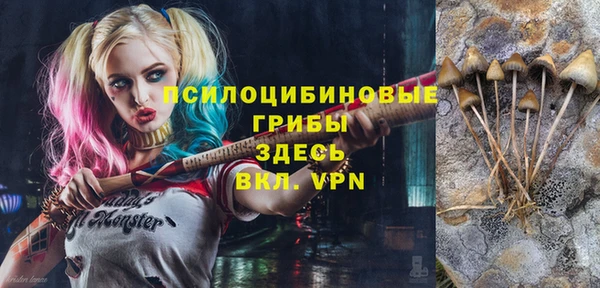 гидра Арсеньев