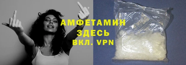гидра Арсеньев