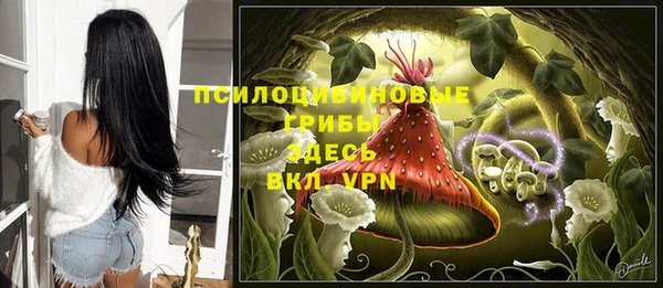 мяу мяу мука Армянск