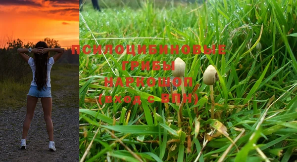 крисы Аркадак
