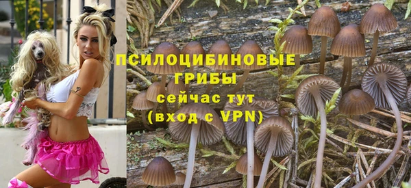 гидра Арсеньев